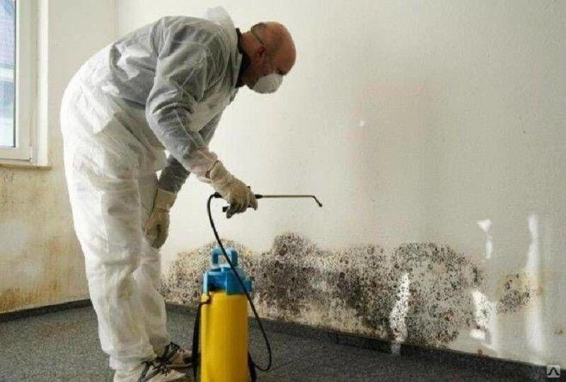 mould testing & inspections Sydney