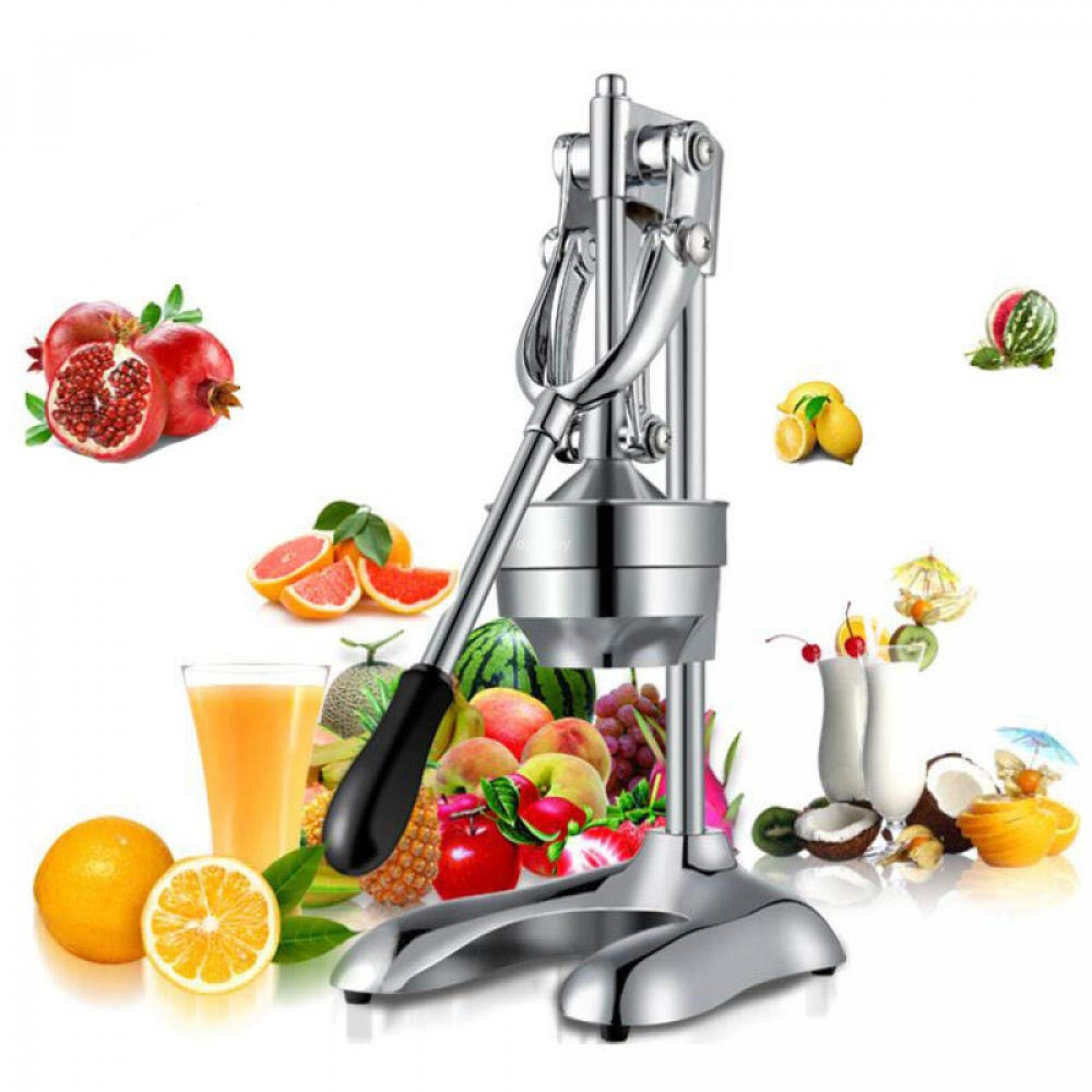 Stainless Steel Juicer