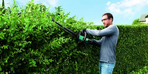 Hedge Trimmers Brisbane
