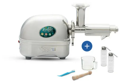 Angel Juicer 5500