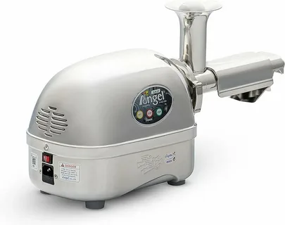 Angel Juicer Ag 8500s